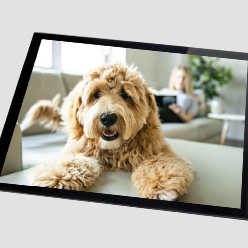 Glass Placemats - Set of 2